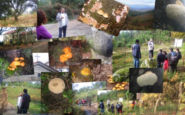 Clique na imagem para aceder ao album no Picasa