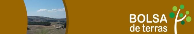 bolsa terras