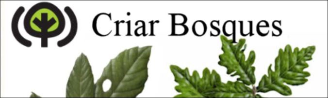 criar bosques