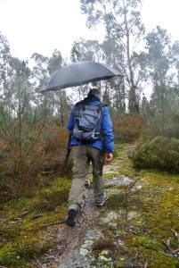 12308167_578935272264152_3387687896255428844_o