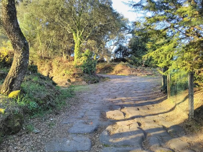 IMG_20180225_082022 (1280x960)