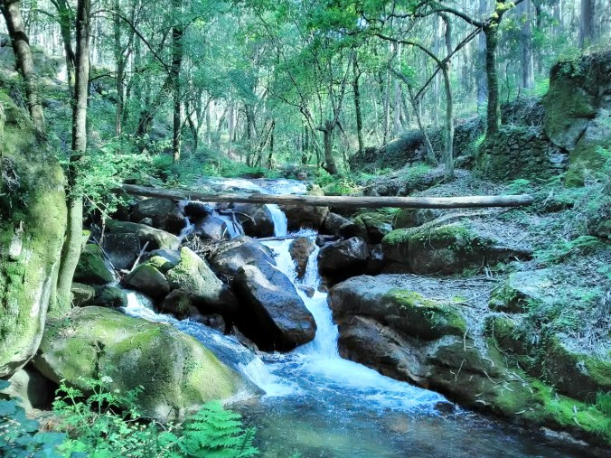 IMG_20180506_101358 (1280x960)