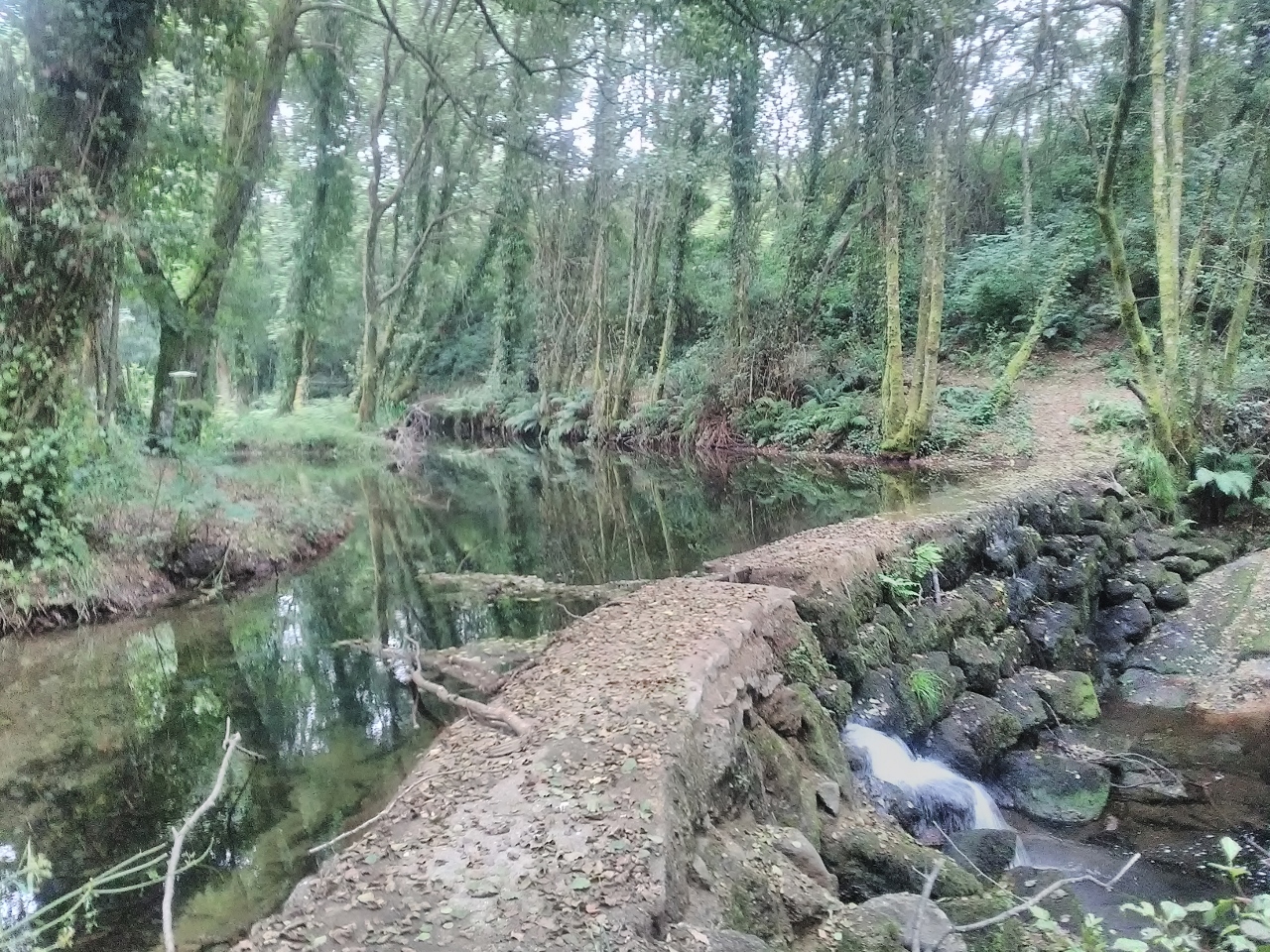 IMG_20180714_080409 (1280x960)